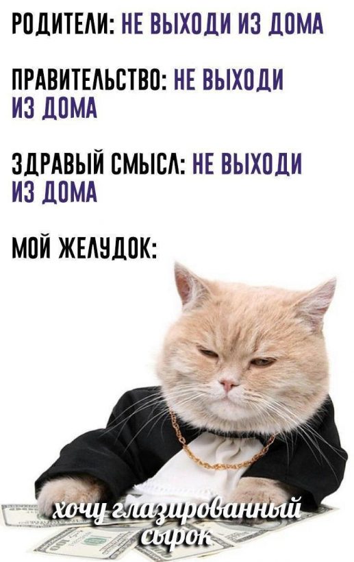 Рыночек порешает, биткоин отрастет: запасаемся мемами на карантин