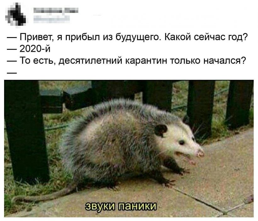 Рыночек порешает, биткоин отрастет: запасаемся мемами на карантин