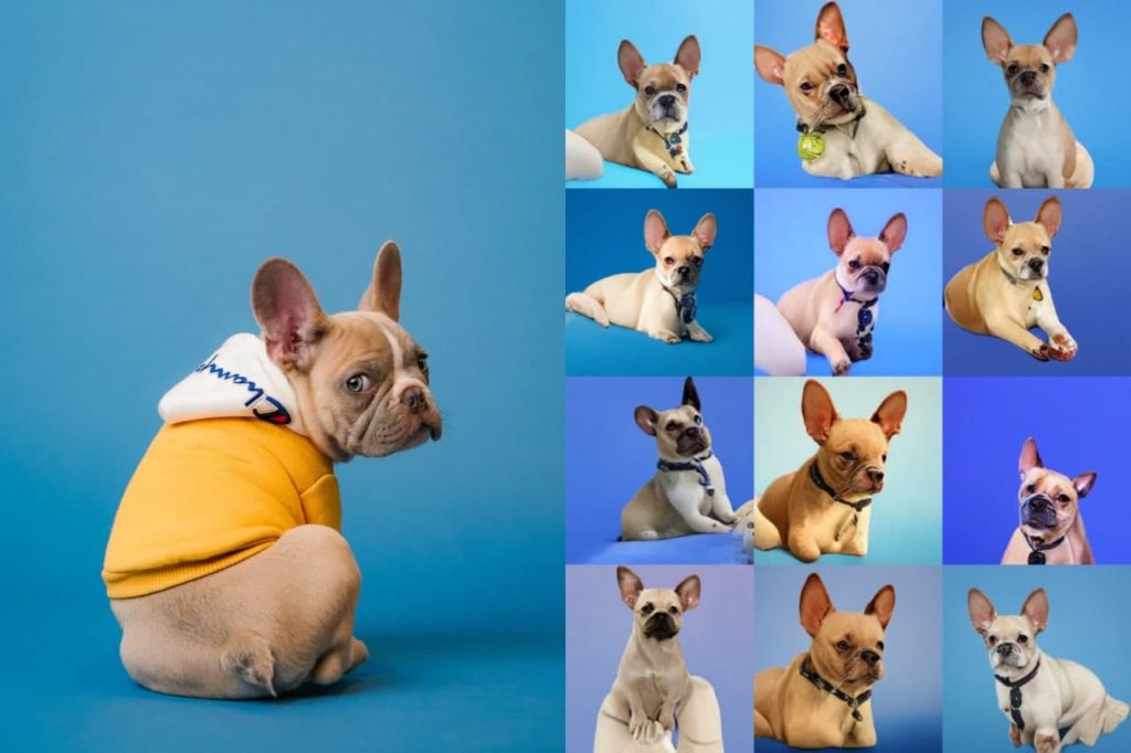 Tesla научилась распознавать полицейские авто, алгоритм расшифровал древние письмена и другие новости из мира ИИ