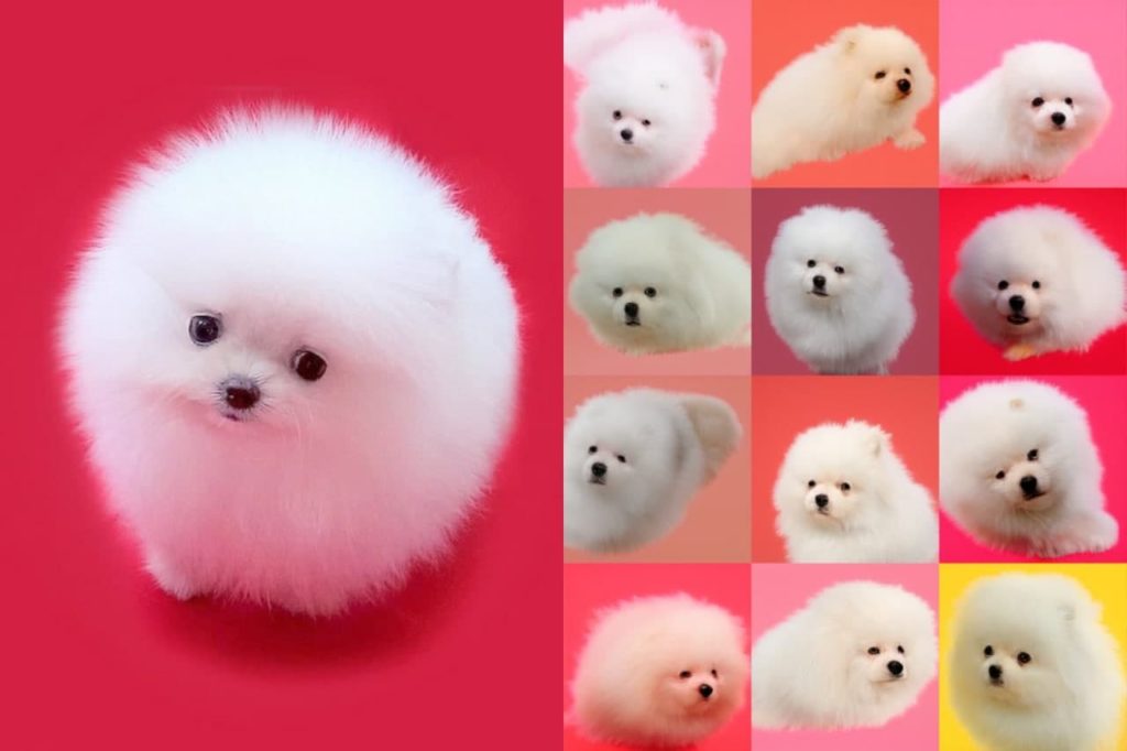 Tesla научилась распознавать полицейские авто, алгоритм расшифровал древние письмена и другие новости из мира ИИ