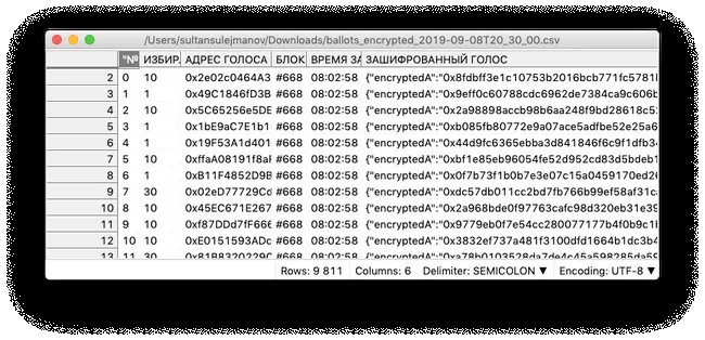 «Это не блокчейн»: почему система голосования в Москве дала сбой и применима ли она вообще для выборов