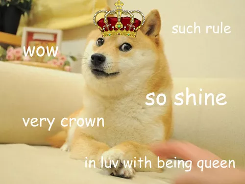 s247050843342300476_p5_i1_w500