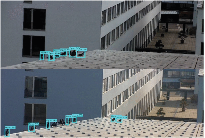 Робот-пылесос сбежал с работы, нейросети вернули женщине зрение и другие новости из мира ИИ