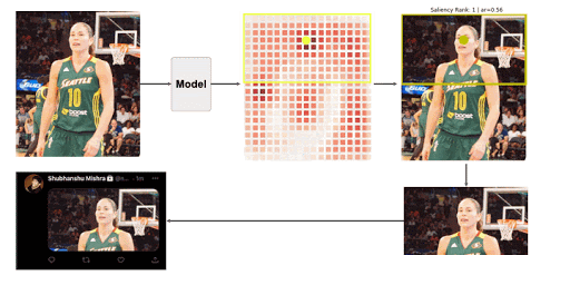 Исследование: алгоритмы Twitter «предпочитают» молодых и стройных девушек
