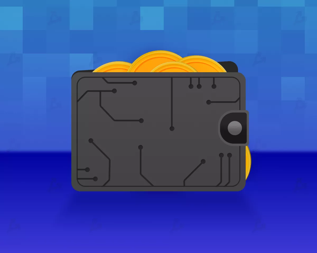 Биткоин-кошелек: какие бывают и какой выбрать в 2022 году?